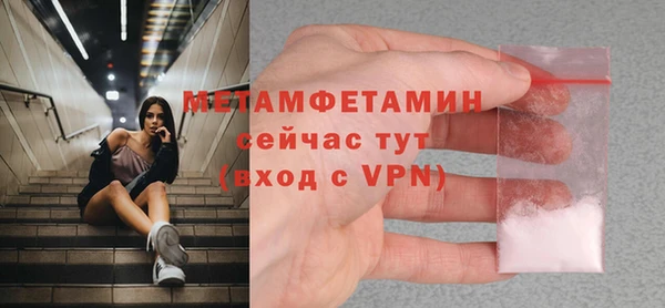 индика Горняк