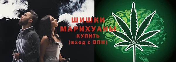амф Горнозаводск