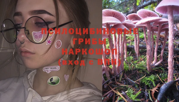 прущий лед Вязники
