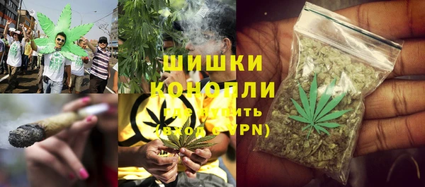 индика Горняк