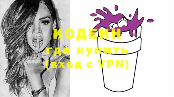 индика Горняк