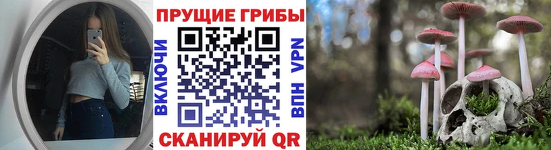 Купить  Баймак  Галлюциногенные грибы GOLDEN TEACHER 
